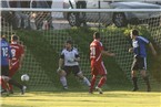 Früh in der neunten Spielminute landete der Ball zum 0:1 für den Bayernligisten SpVgg Jahn Forchheim im Pegnitzer Netz.