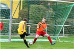 SV Weiherhof - ASV Vach II 3:0