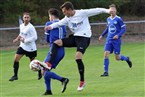 FC Stein - SGV Nürnberg-Fürth 1883 (03.10.2018)