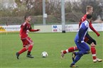 TSV Buch 2 - ASN Pfeil-Phönix Nürnberg (28.10.2018)