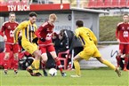 TSV Buch 2 - Post-SV Nürnberg 2 (25.11.2018)