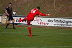 TSV Burgfarrnbach - TSV Berching (31.03.2019)