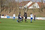 TSV Burgfarrnbach - TSV Berching (31.03.2019)