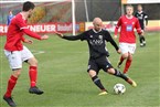 FSV Stadeln - 1. FC Hersbruck (13.04.2019)