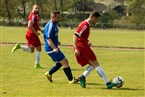 FC Serbia Nürnberg 2 - SV Wacker Nürnberg 2 (14.04.2019)