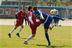 FC Serbia Nürnberg 2 - SV Wacker Nürnberg 2 (14.04.2019)