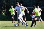 FC Bosna Nürnberg - SV Maiach-Hinterhof (15.09.2019)