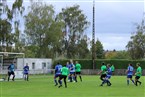 TSV Johannis 83 Nürnberg - TSV Altenberg (03.10.2019)