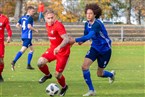 SG Quelle Fürth - Baiersdorfer SV (19.10.2019)