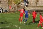 SC 04 Schwabach - Baiersdorfer SV (09.11.2019)