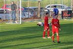 SC 04 Schwabach - Baiersdorfer SV (09.11.2019)