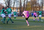 VfL Nürnberg - SV Nürnberg Laufamholz (10.11.2019)