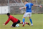 Post-SV Nürnberg 3 - FC Bosna Nürnberg (17.11.2019)