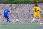 SV Gutenstetten-Steinachgrund - SV Tennenlohe (01.12.2019)