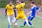 SV Gutenstetten-Steinachgrund - SV Tennenlohe (01.12.2019)