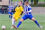 SV Gutenstetten-Steinachgrund - SV Tennenlohe (01.12.2019)