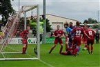 TSV Buch 2 - SC Germania Nürnberg (29.08.2021)