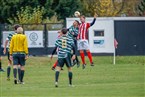 TSV Franken Neustadt/Aisch - TSV Wilhermsdorf (07.11.2021)