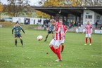 TSV Franken Neustadt/Aisch - TSV Wilhermsdorf (07.11.2021)