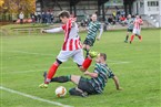 TSV Franken Neustadt/Aisch - TSV Wilhermsdorf (07.11.2021)