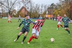 TSV Franken Neustadt/Aisch - TSV Wilhermsdorf (07.11.2021)