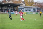 TSV Franken Neustadt/Aisch - TSV Wilhermsdorf (07.11.2021)