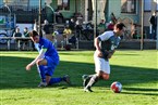 ASV Weinzierlein-Wintersdorf - SC Obermichelbach (13.11.2022)