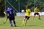 SV Losaurach 2 - ASV Niederndorf 2 (09.07.2023)
