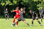 SV Eyüp Sultan Nürnberg 2 - Eintracht Falkenheim Nürnberg 2 (17.09.2023)