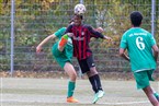 VfL Nürnberg 2 - 1. FC Trafowerk Nürnberg (29.10.2023)