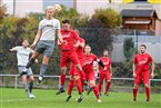 TSV Zirndorf - (SG) Puschendorf/Tuchenbach (29.10.2023)