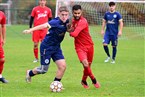 TSV Zirndorf 2 - (SG) Tuchenbach 2/Puschendorf 2 (29.10.2023)