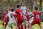 FSV Stadeln 3 - SV Burggrafenhof (19.11.2023)