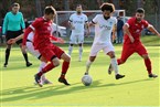 FSV Stadeln 3 - SV Burggrafenhof (19.11.2023)