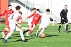 Dagegen hatten die Altstädter und Fabian Dachsbacher (am Ball) Anlaufschwierigkeiten.