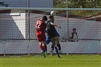 TSV Kornburg - SpVgg Bayern Hof (06.04.2024)