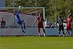 TSV Kornburg - SpVgg Bayern Hof (06.04.2024)