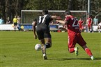 TSV Kornburg - SpVgg Bayern Hof (06.04.2024)