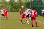 TSV Altenberg 2 - 1. FC Kalchreuth 2 (28.04.2024)